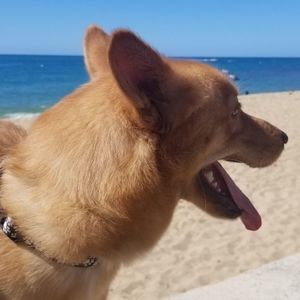 Meet your Posher, Claribel